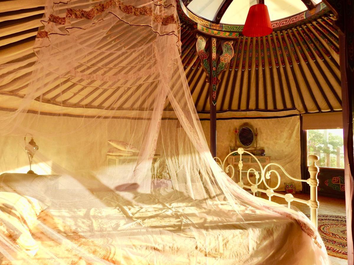 Exclusive Nirvana Yurts Glamping カト・ドライス エクステリア 写真
